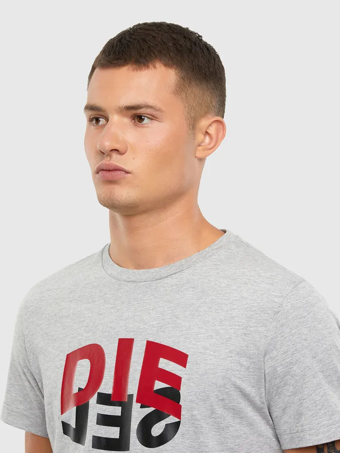 Diesel Tshirts Mens TDIEGOSN22 Light Grey Gift 4 You