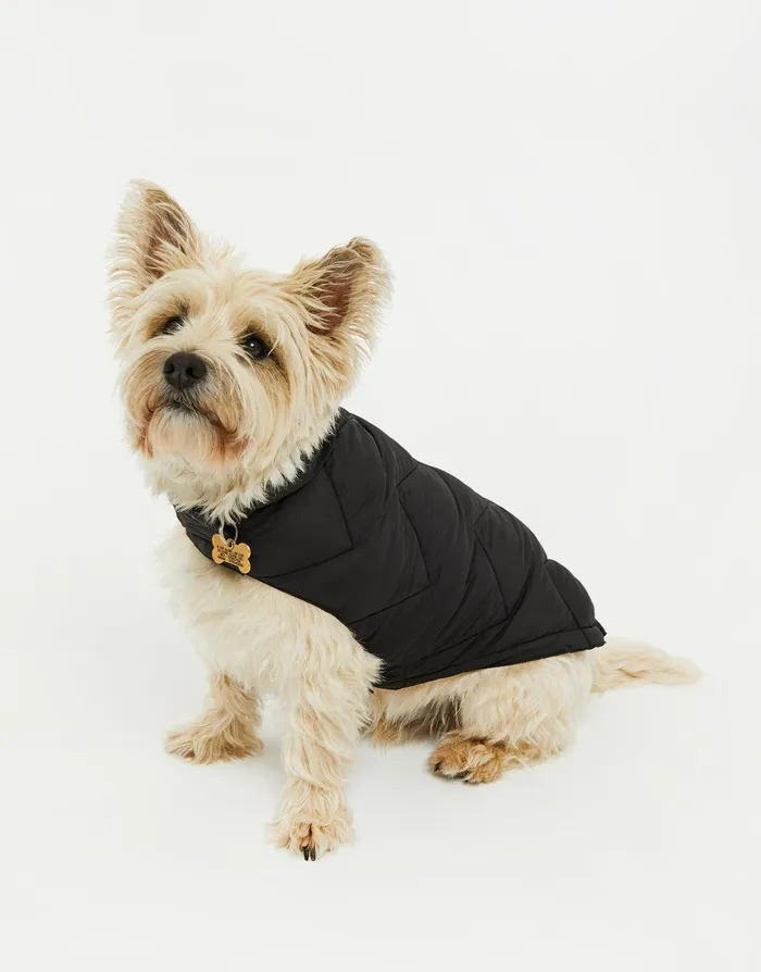Dogs Dogs039 Black Padded Jacket Black Threadbare Dog Jackets