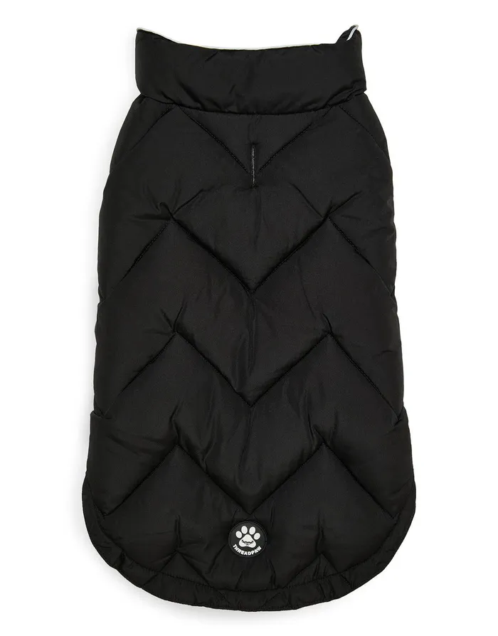 Dogs Dogs039 Black Padded Jacket Black Threadbare Dog Jackets Dogs Dogs039 Black Padded Jacket Black Threadbare Dog Jackets