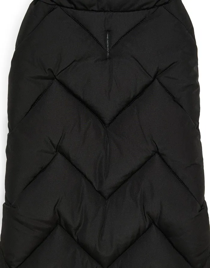 Dogs Dogs039 Black Padded Jacket Black Threadbare Dog Jackets Dogs Dogs039 Black Padded Jacket Black Threadbare Dog Jackets