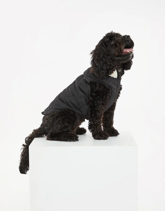 Dogs Dogs039 Black Quilted Jacket Black Threadbare Dog Jackets