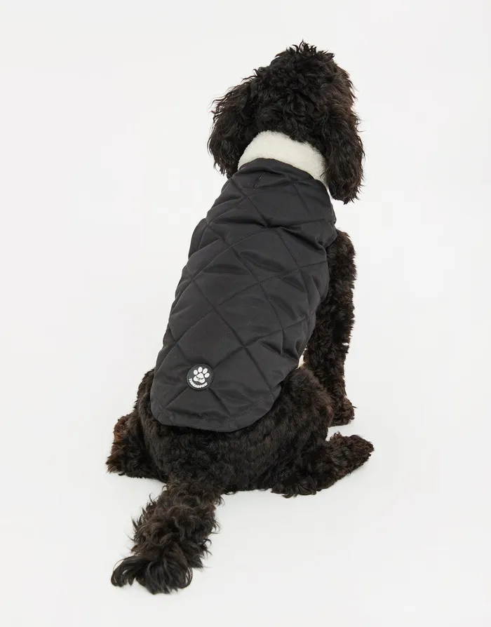 Dogs Dogs039 Black Quilted Jacket Black Threadbare Dog Jackets Dogs Dogs039 Black Quilted Jacket Black Threadbare Dog Jackets