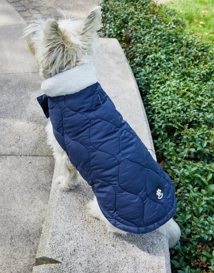 Dogs Dogs039 Navy Onion Quilted Jacket Navy Threadbare Dog Jackets Dogs Dogs039 Navy Onion Quilted Jacket Navy Threadbare Dog Jackets