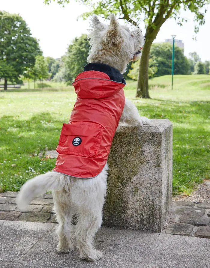 Dogs Dogs039 Red Lightweight Rain Jacket Red Threadbare Dog Jackets
