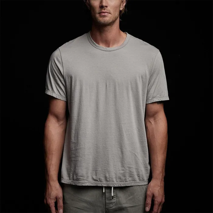 Men TShirts James Perse Luxe Lotus Jersey Tee Paver