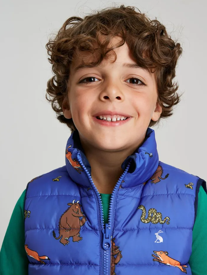 Online Joules Blue Gruffalo Flip It Reversible Printed Gilet Boys Gilets