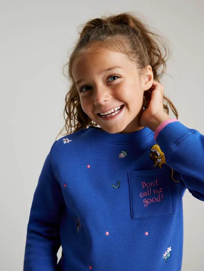 Online Joules Blue Gruffalo Mackenzie Artwork Sweatshirt Girls Sweatshirts and Hoodies