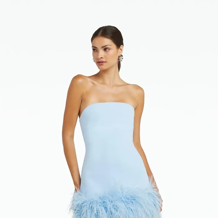 Safiyaa Rowan Pale Blue FeatherTrimmed Short Dress Women Dresses
