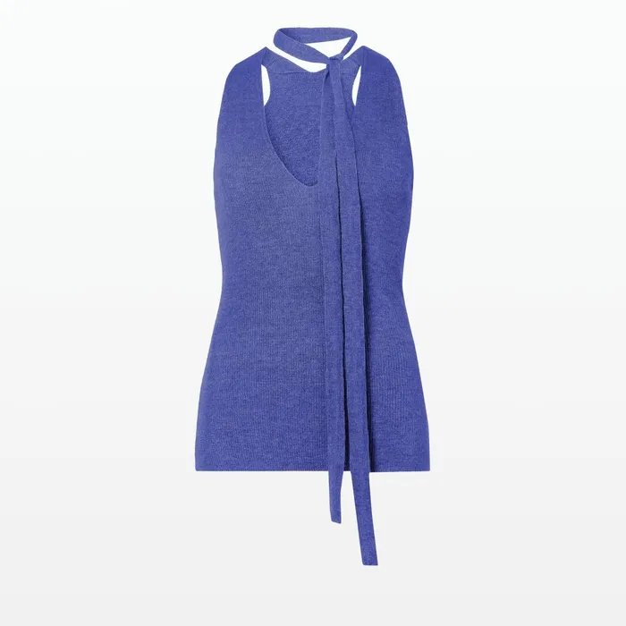 Safiyaa Titu Anemone Blue Knit Women Tops