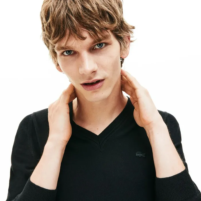Sweaters Lacoste Mens Vneck Wool Jersey Sweater Black Gift for Friend