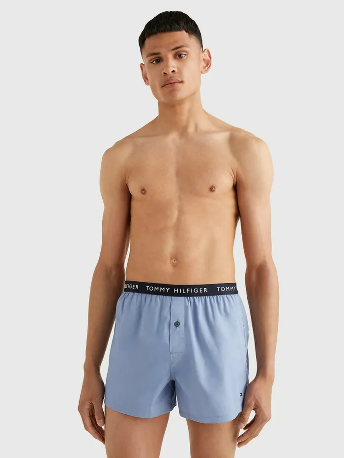 Tommy Hilfiger 3Pack Logo Waistband Button Fly Boxers Frosted CranColoradoVary Mens Underwear Gift 4 You