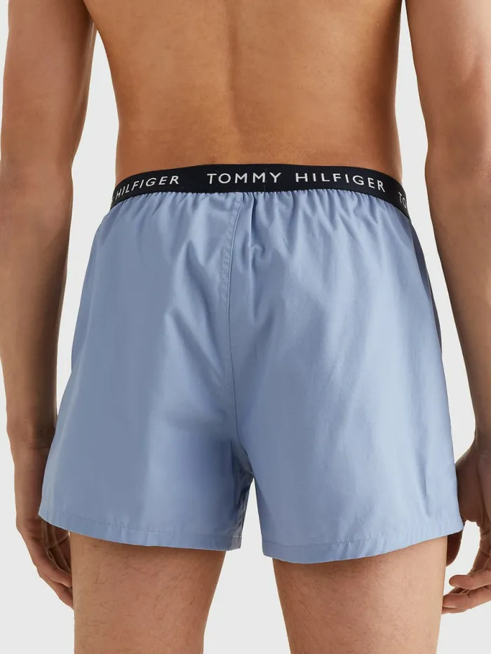 Tommy Hilfiger 3Pack Logo Waistband Button Fly Boxers Frosted CranColoradoVary Mens Underwear Gift 4 You