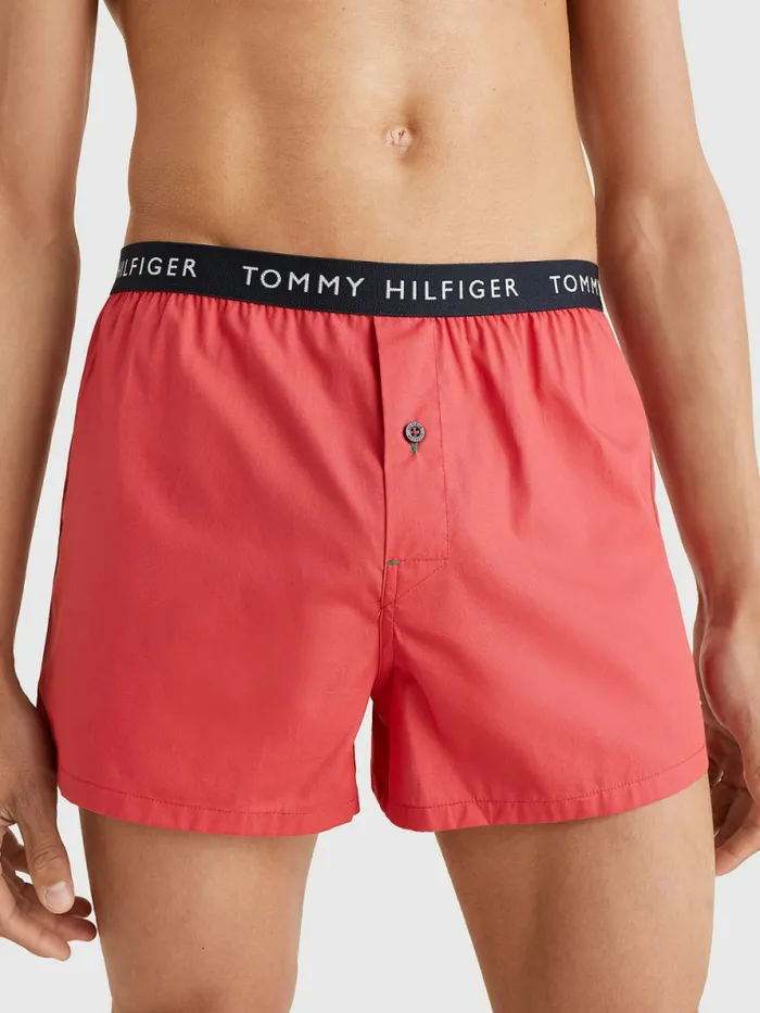 Tommy Hilfiger 3Pack Logo Waistband Button Fly Boxers Frosted CranColoradoVary Mens Underwear Gift 4 You
