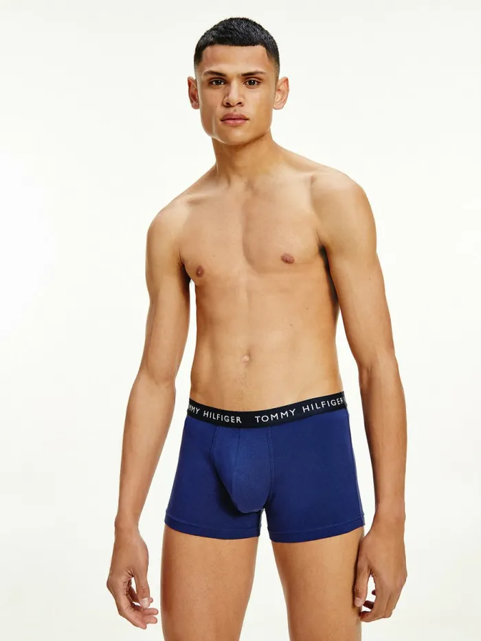 Tommy Hilfiger 3Pack Logo Waistband Trunks Acid CitrusYale BlueSublunar Mens Underwear Near Me