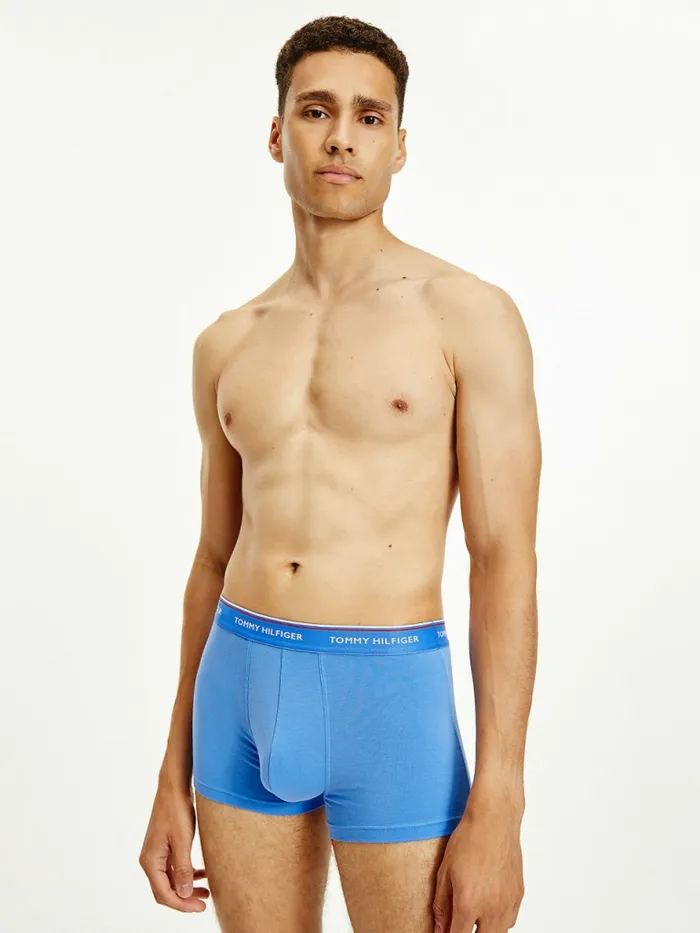 Tommy Hilfiger 3Pack Logo Waistband Trunks TopwaterSublunarCrsn Ruby Mens Underwear Cheap On Sale Tommy Hilfiger 3Pack Logo Waistband Trunks TopwaterSublunarCrsn Ruby Mens Underwear Cheap On Sale