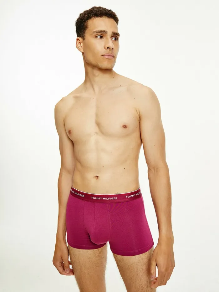 Tommy Hilfiger 3Pack Logo Waistband Trunks TopwaterSublunarCrsn Ruby Mens Underwear Cheap On Sale