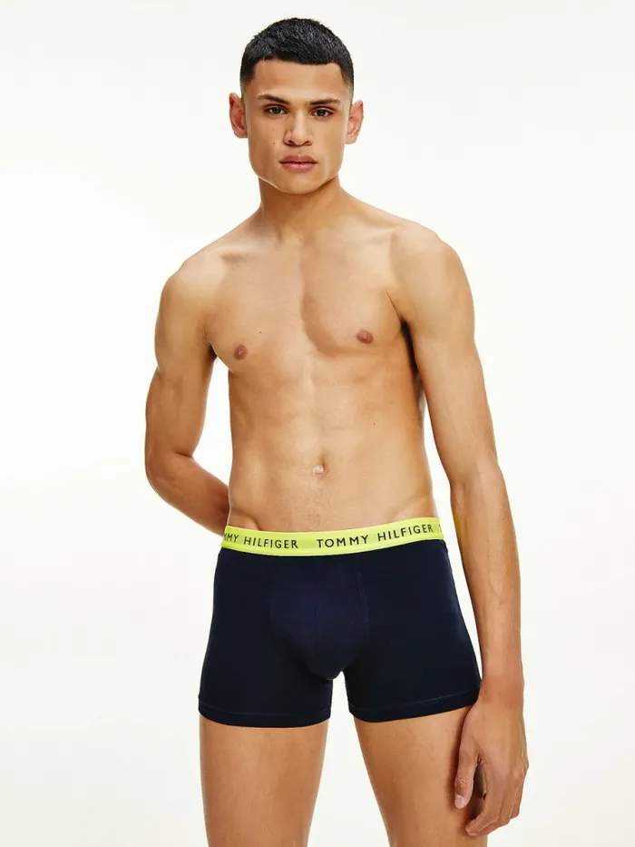 Tommy Hilfiger 3Pack Repeat Logo Trunks Acid CitrusYale BlueSublunar Mens Underwear Gift for Friend