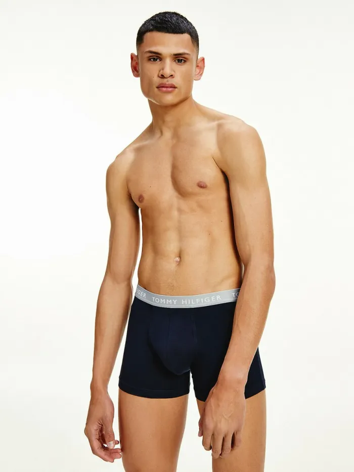 Tommy Hilfiger 3Pack Repeat Logo Trunks Acid CitrusYale BlueSublunar Mens Underwear Gift for Friend
