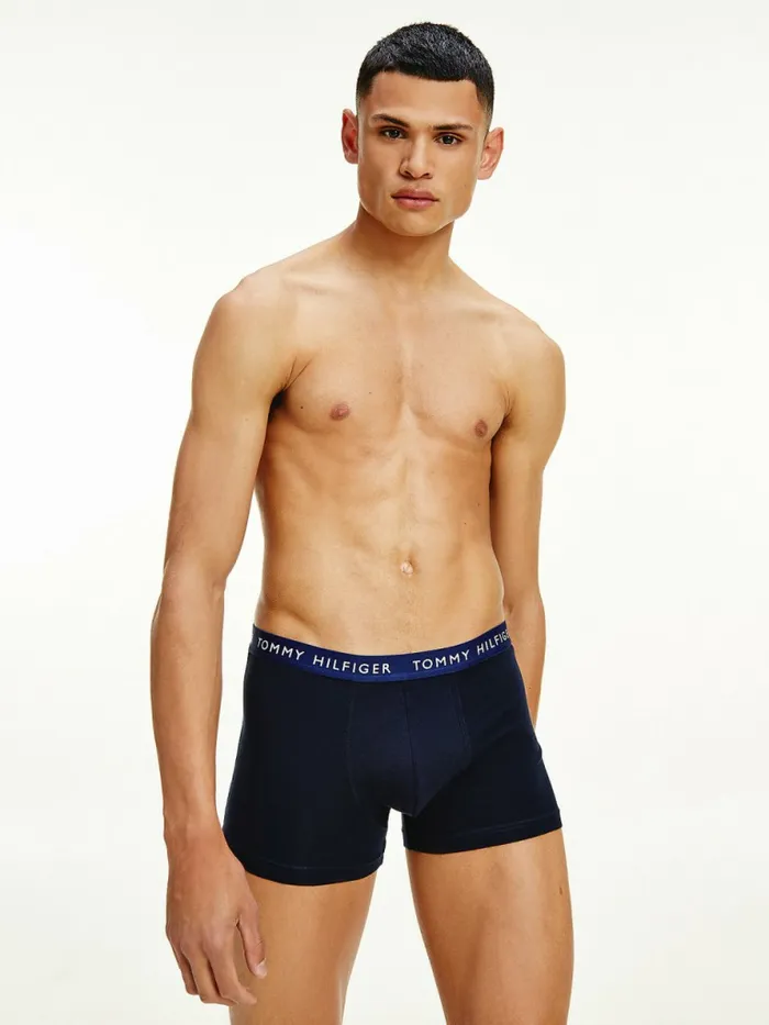 Tommy Hilfiger 3Pack Repeat Logo Trunks Acid CitrusYale BlueSublunar Mens Underwear Gift for Friend