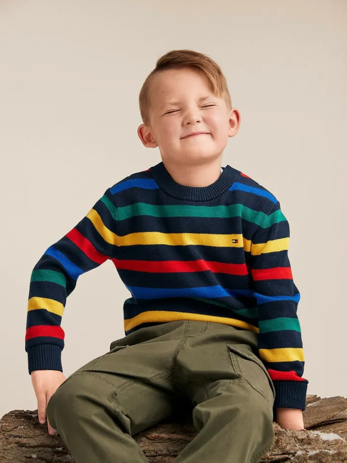 Tommy Hilfiger Adaptive Stripe Crew Neck Jumper Sky Captain Boys Jumpers and Cardigans Cheap On Sale Tommy Hilfiger Adaptive Stripe Crew Neck Jumper Sky Captain Boys Jumpers and Cardigans Cheap On Sale