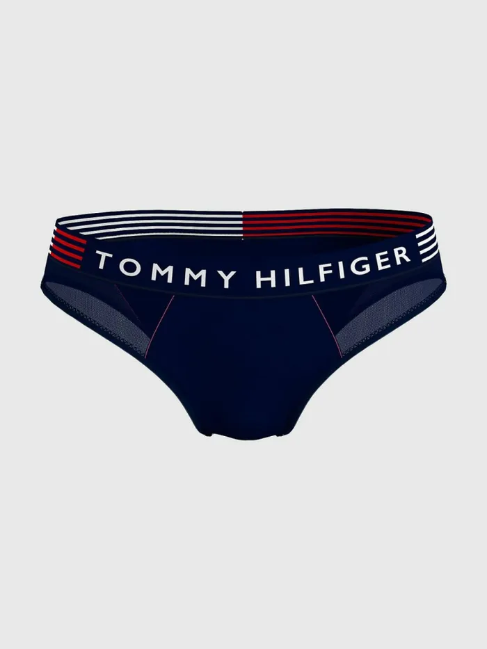 Tommy Hilfiger Curve Th Stretch Logo Briefs Desert Sky Womens Lingerie