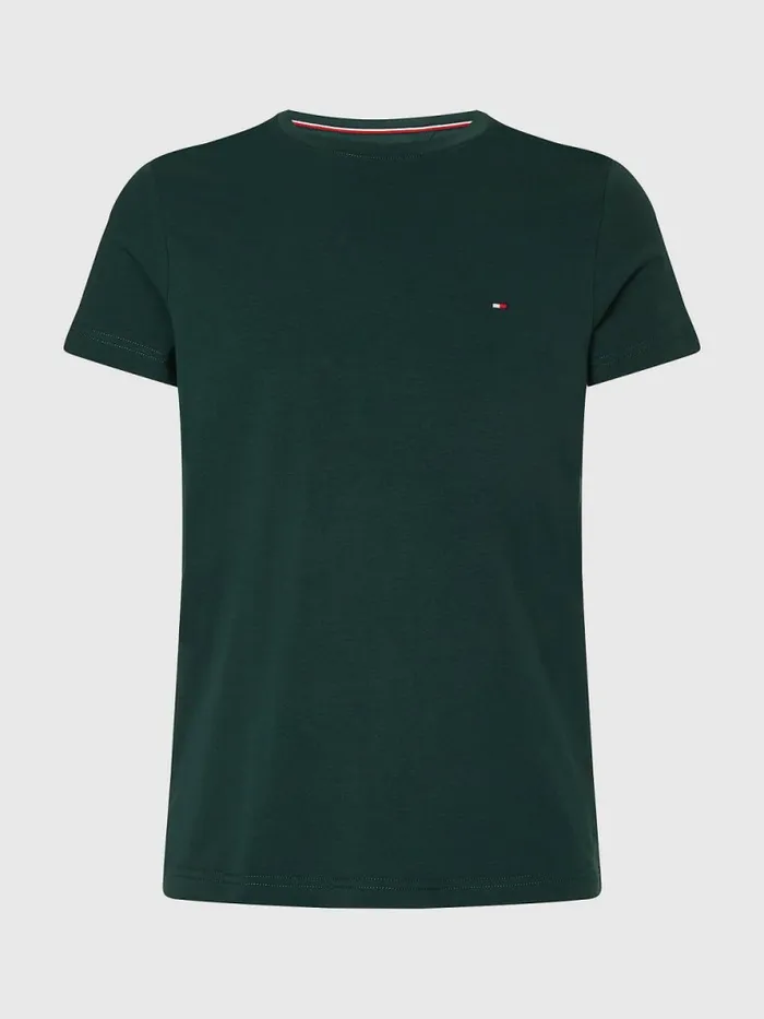Tommy Hilfiger Flag Embroidery Slim Fit TShirt Hunter Mens TShirts Gift for Friend