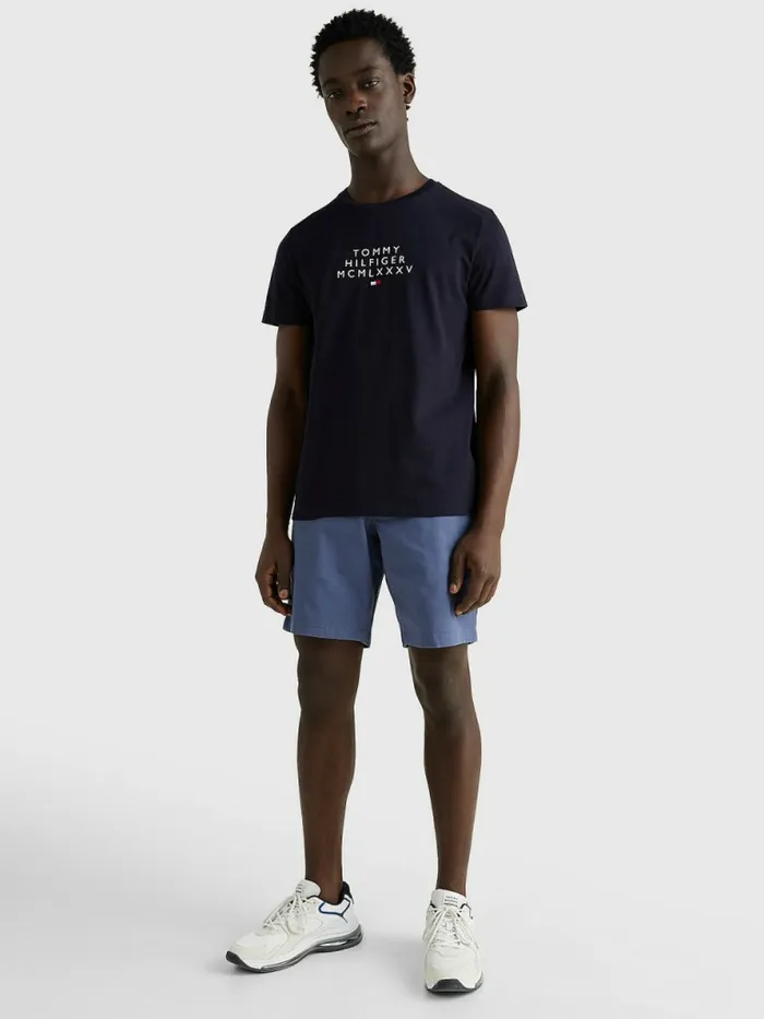 Tommy Hilfiger Graphic Logo TShirt Desert Sky Mens TShirts Cheap On Sale