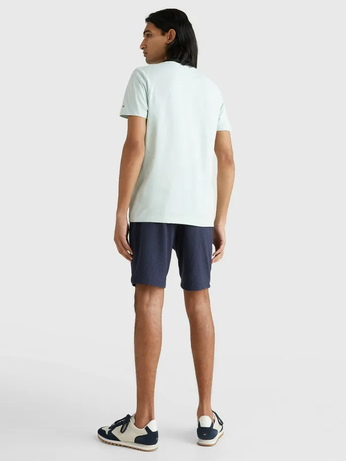 Tommy Hilfiger Logo TShirt Minty Essence Mens TShirts Fashion