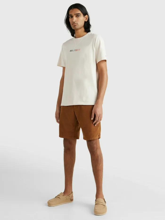 Tommy Hilfiger Multicolour Logo Embroidery TShirt Feather White Mens TShirts Online