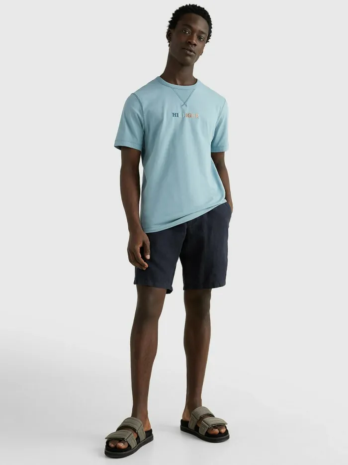 Tommy Hilfiger Multicolour Logo Embroidery TShirt Lofty Blue Mens TShirts Online