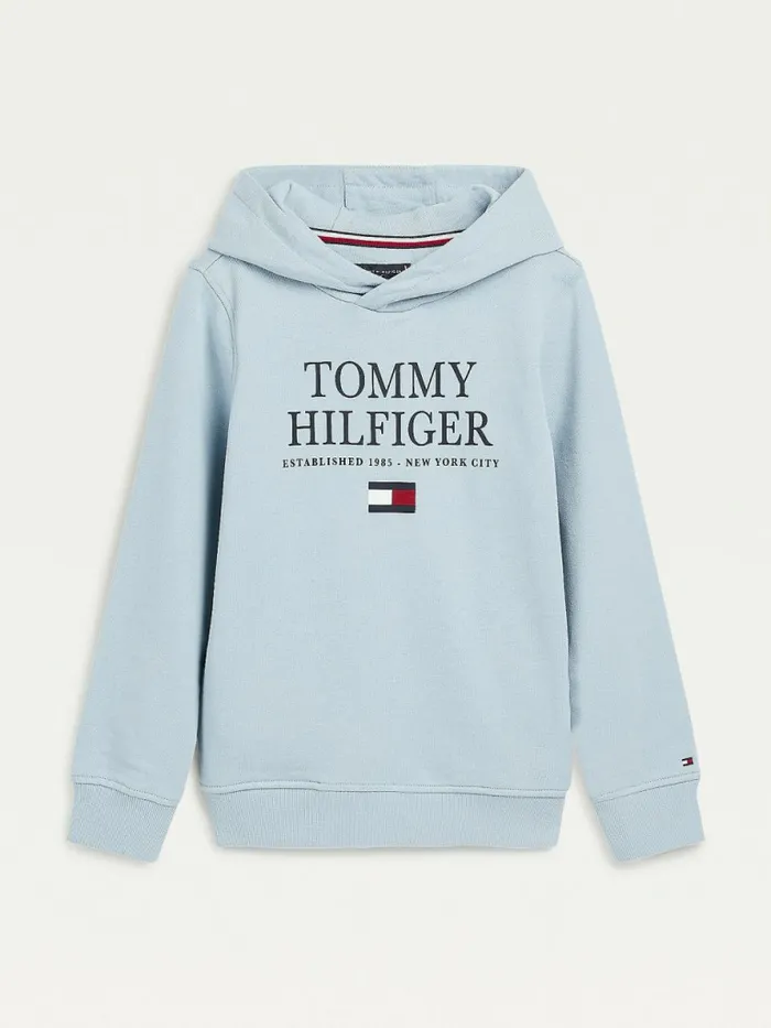 Tommy Hilfiger Organic Cotton Logo Hoody Cloudy Boys Sweatshirts and Hoodies Sale Tommy Hilfiger Organic Cotton Logo Hoody Cloudy Boys Sweatshirts and Hoodies Sale