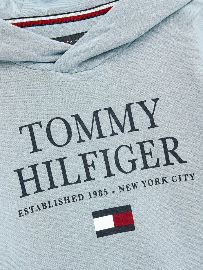 Tommy Hilfiger Organic Cotton Logo Hoody Cloudy Boys Sweatshirts and Hoodies Sale