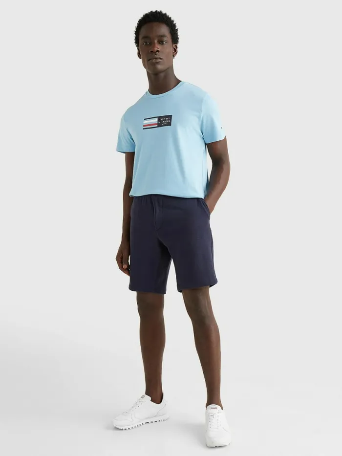 Tommy Hilfiger Organic Cotton Logo TShirt Columbia Blue Mens TShirts For Sale
