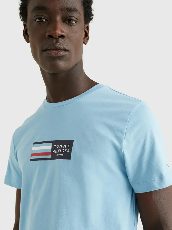 Tommy Hilfiger Organic Cotton Logo TShirt Columbia Blue Mens TShirts For Sale