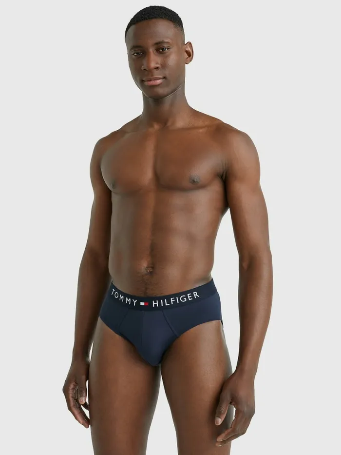 Tommy Hilfiger Original Stretch Microfibre Logo Briefs Desert Sky Mens Underwear Gift Ideas