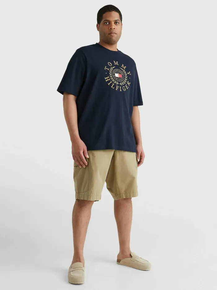 Tommy Hilfiger Plus Icons Embroidery TShirt Desert Sky Mens TShirts Gift Ideas