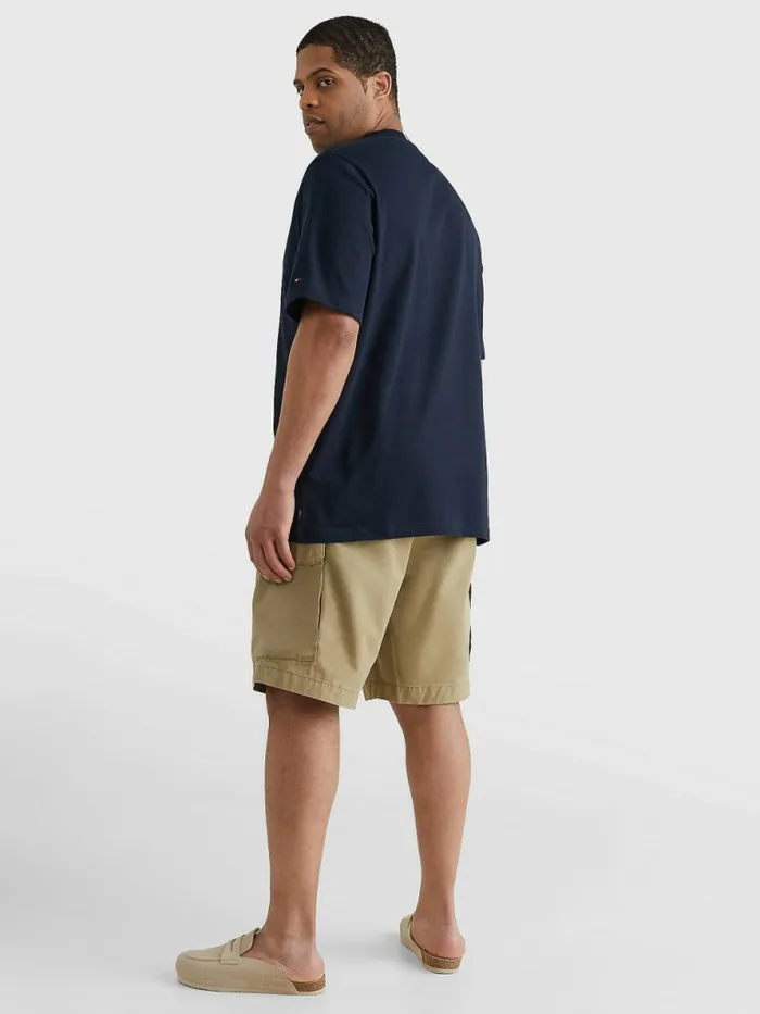 Tommy Hilfiger Plus Icons Embroidery TShirt Desert Sky Mens TShirts Gift Ideas