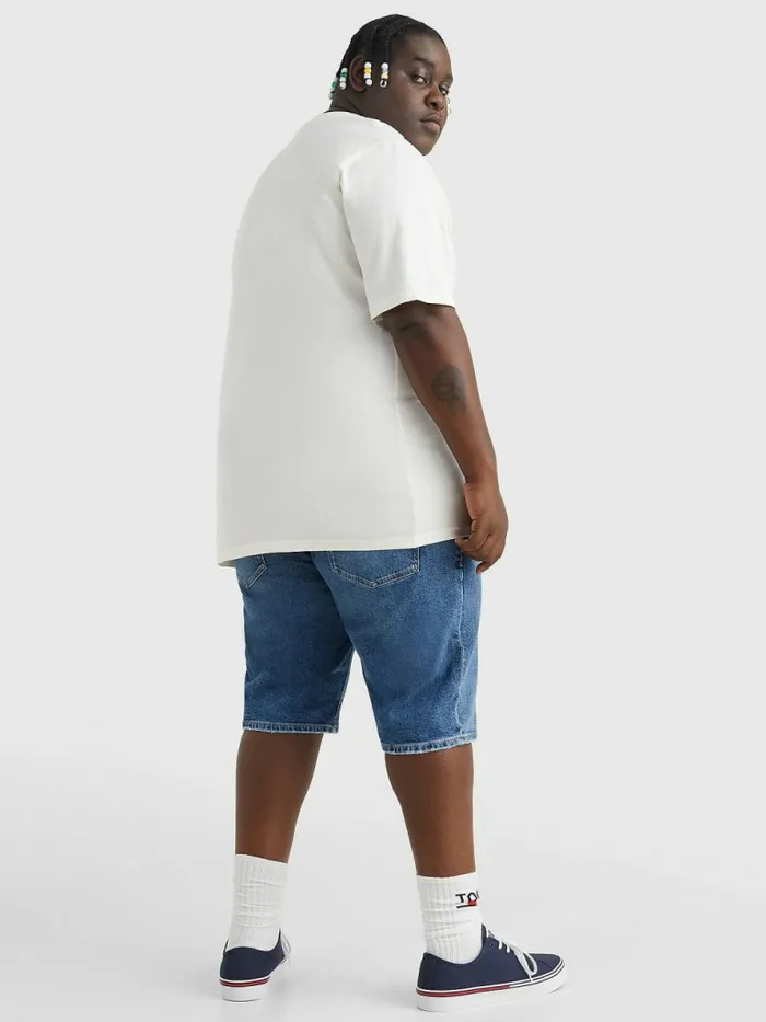 Tommy Hilfiger Plus Organic Cotton Boxy TShirt Ancient White Mens TShirts Near Me