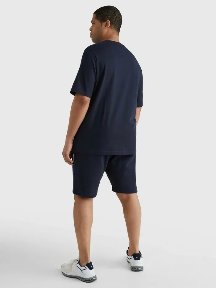 Tommy Hilfiger Plus Organic Cotton Logo TShirt Desert Sky Mens TShirts Fashion