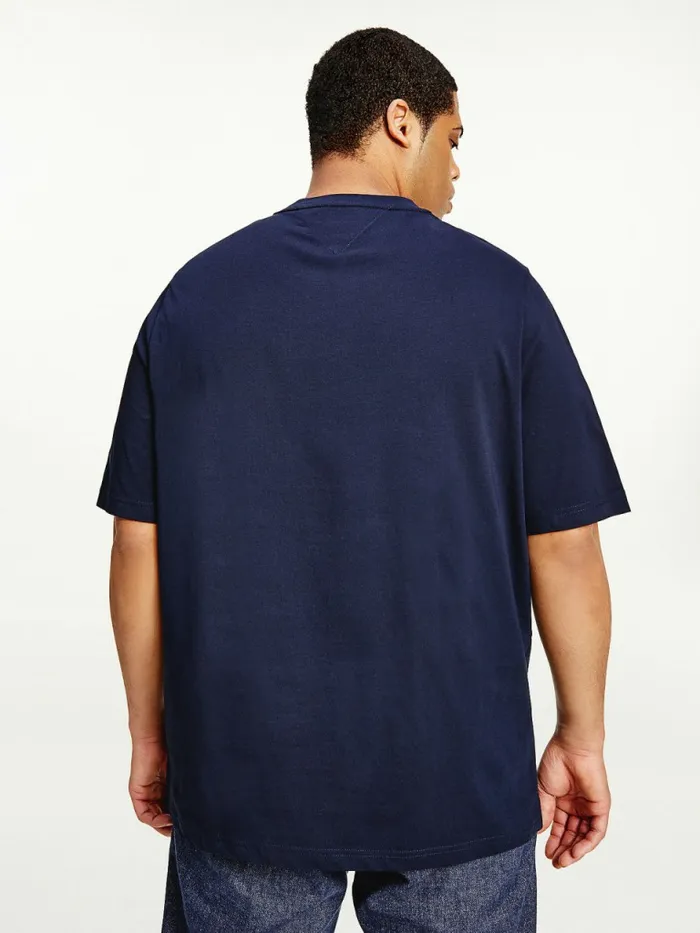 Tommy Hilfiger Plus Signature Split Logo TShirt Desert Sky Mens Plus Size Clothing