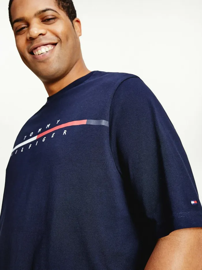 Tommy Hilfiger Plus Signature Split Logo TShirt Desert Sky Mens Plus Size Clothing