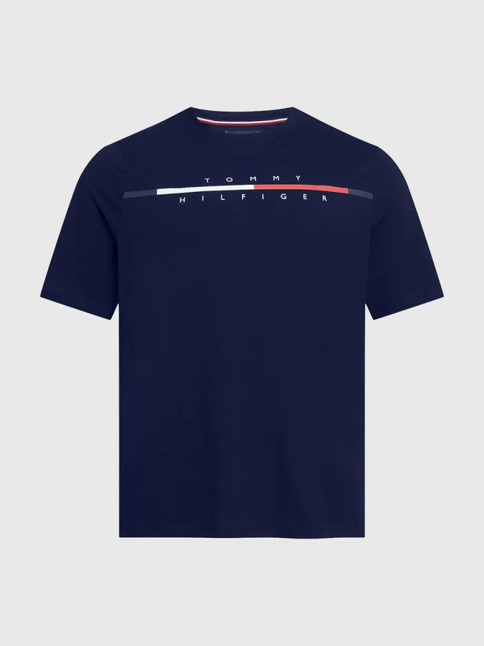 Tommy Hilfiger Plus Signature Split Logo TShirt Desert Sky Mens Plus Size Clothing