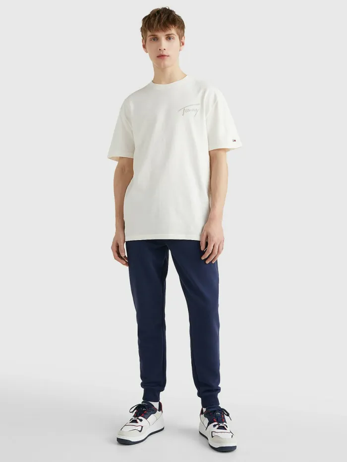 Tommy Hilfiger Signature Embroidery TShirt Ancient White Mens TShirts Near Me