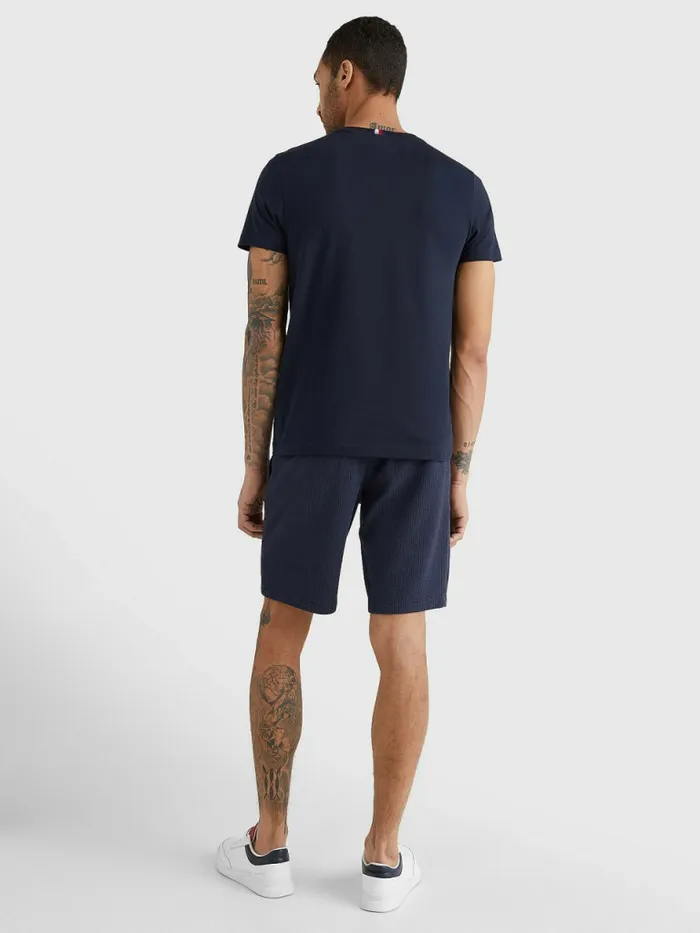 Tommy Hilfiger Signature Logo TShirt Desert Sky Mens TShirts Near Me