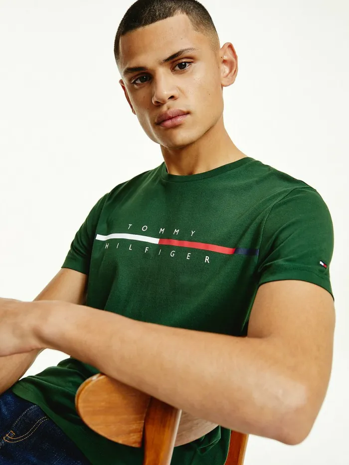 Tommy Hilfiger Signature Split Logo TShirt National Forest Mens TShirts Fashion