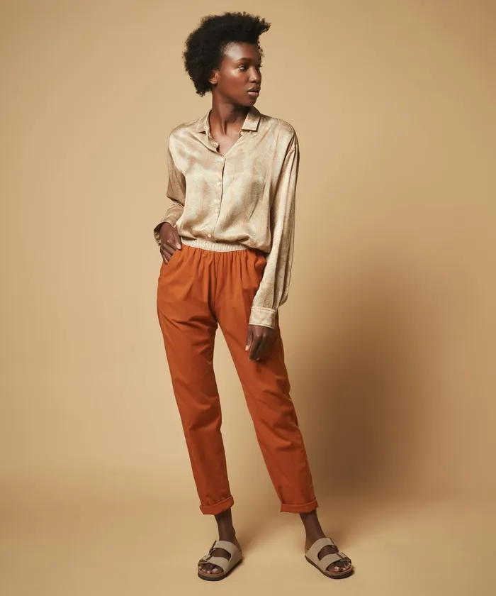 Women Hartford Shirts and Tops Charlot Caramel Feathers Printed Shirt